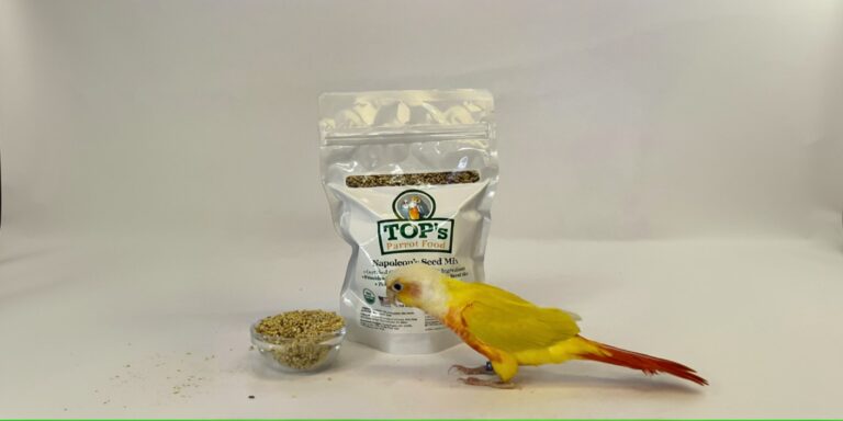 What Makes Tops Parrot Food Pellets Different from Regular Bird Food
