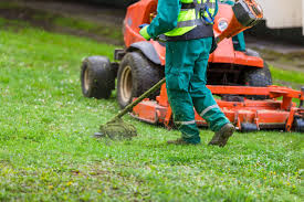 4 Must-Know Features To Check Before Opting For A Lawncare Scheduling Software