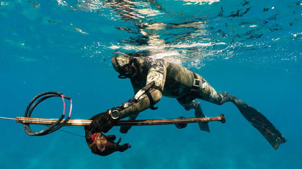 How can better gear improve confidence for new spearfishers?